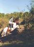 Ferme Equestre de Montigny
